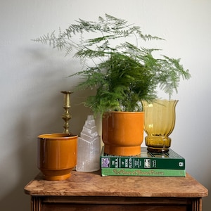 May include: A still life featuring a potted fern in an orange ceramic pot, a vintage amber glass vase, a brass candlestick, and a clear crystal. The items are arranged on a wooden table. A book titled "The Care of House Plants" is also present.