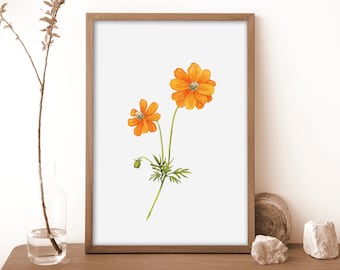 Downloadable Botanical Art Print Orange Cosmos Flower