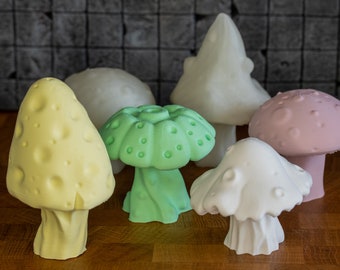 Decoratieve paddenstoelen, ideaal cadeau