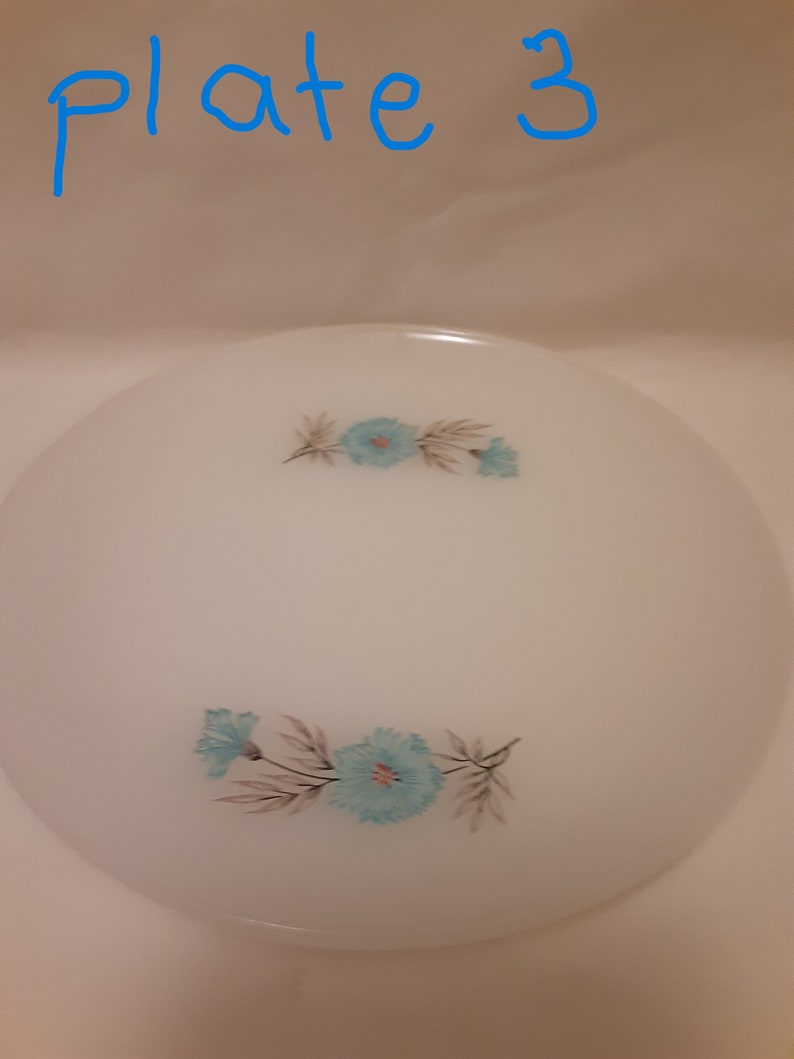 May include: White, round plate with a floral design. The plate features two clusters of blue flowers with gray and brown leaves. The text "plate 3" is written in blue at the top of the image.