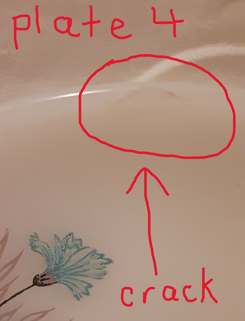 May include: A close-up of a cream-colored plate with a blue floral design. The plate has a crack and the text "plate 4" is written in red.