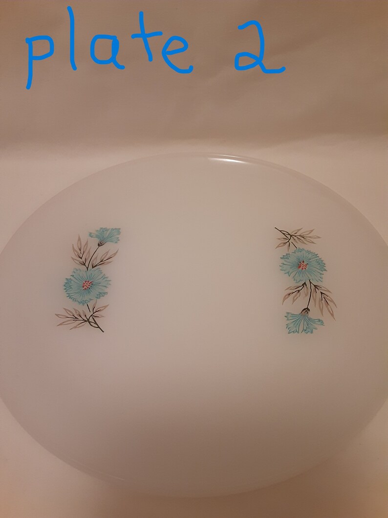 May include: A white plate with a floral design. The plate features two clusters of blue flowers with brown and green leaves. The text "plate 2" is written in blue at the top of the image.