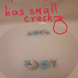 May include: White plate with blue floral design and a small crack. The plate has two floral arrangements with blue flowers and brown stems. The text "plate 4 has small crack" is written in red.