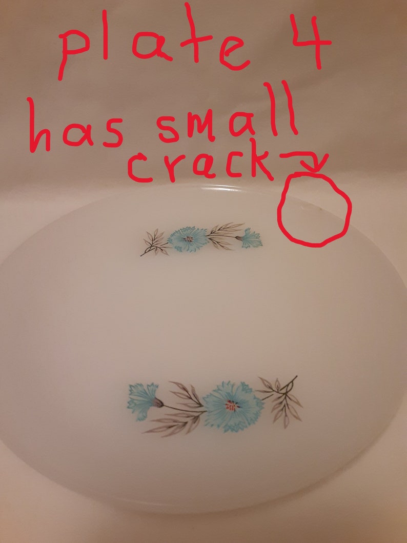 May include: White plate with blue floral design and a small crack. The plate has two floral arrangements with blue flowers and brown stems. The text "plate 4 has small crack" is written in red.