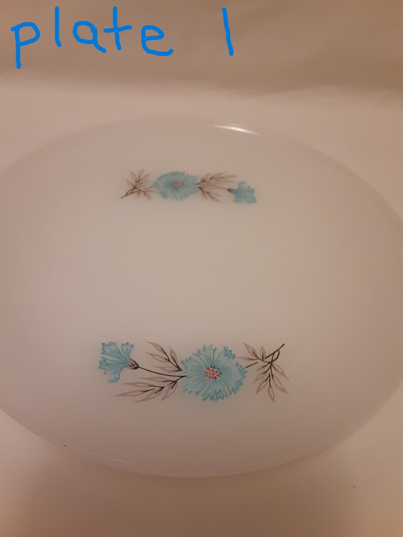 May include: White oval plate with a floral design. The plate features two clusters of blue flowers with red centers and gray leaves. The text "plate 1" is written in blue at the top.
