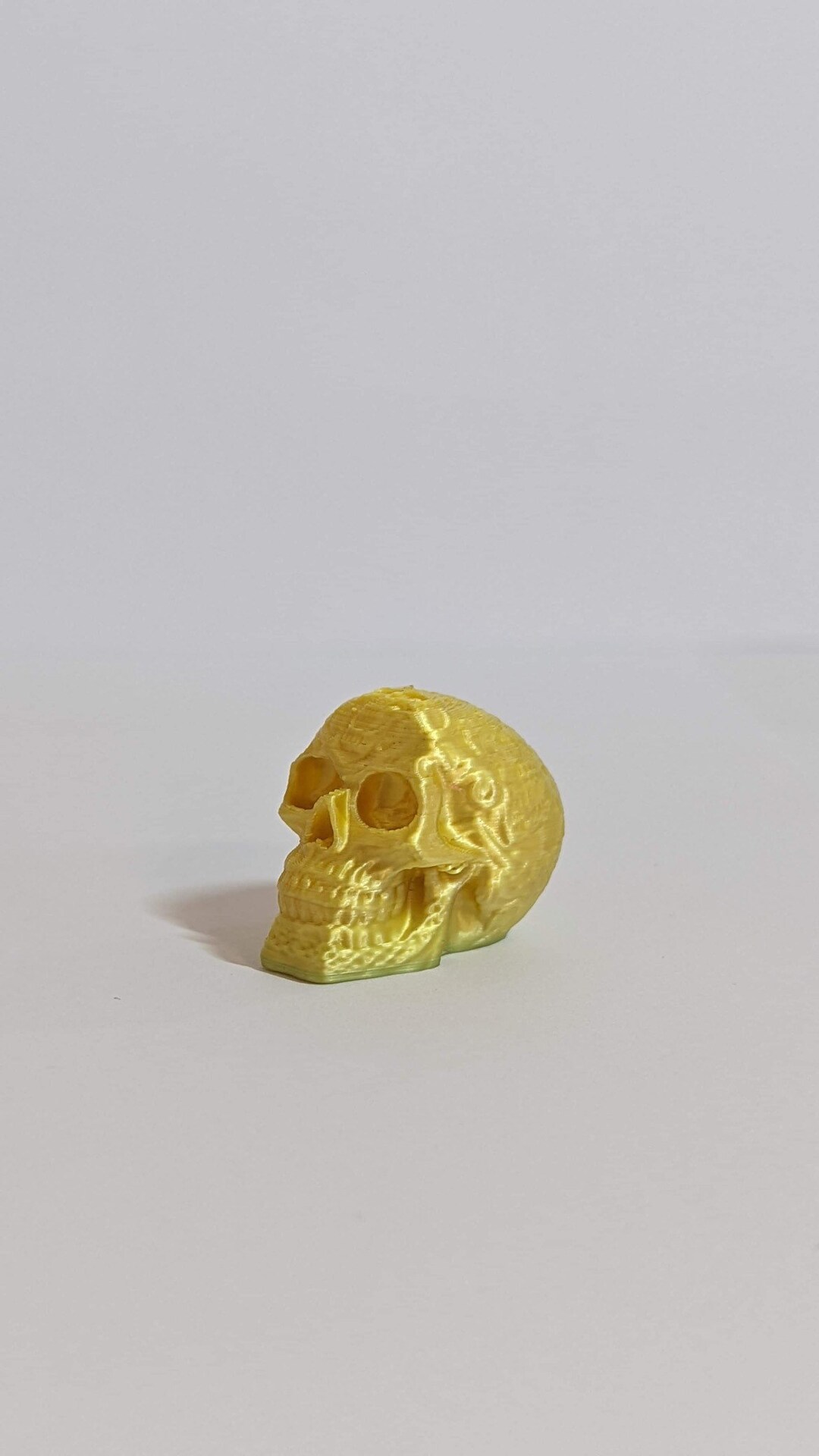 Skull Edition Valve/dust Caps for Bikes Cars and Motorcycles. Etsy