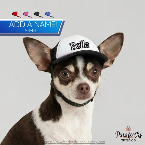 Personalized hat for dog with name, Custom Pet Hat, Funny Dog Cap, Dog Birthday Gift,  Foam Trucker Hat for k9