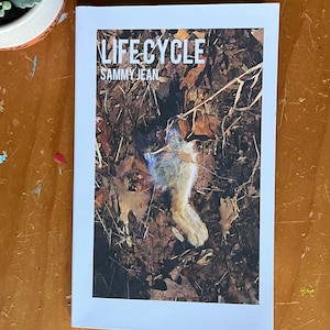 LifeCycle