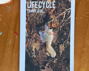 May include: A book titled "LIFECYCLE" by SAMMY JEAN. The cover features a close-up photo of a dead rabbit lying on a bed of brown leaves.