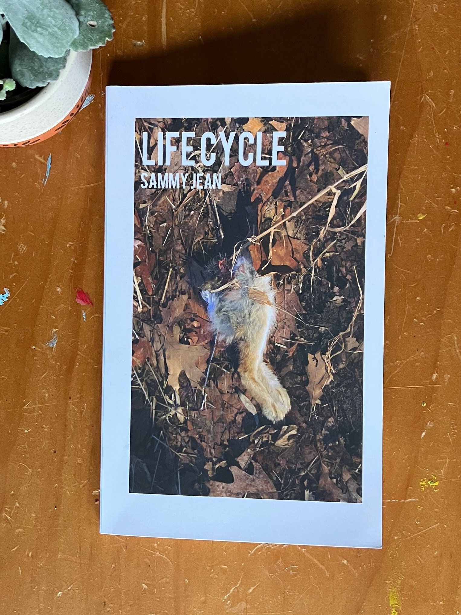 LifeCycle