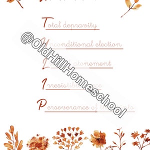 Reformation Basics Mini Packet (printable Reformation Day Unit) - Etsy