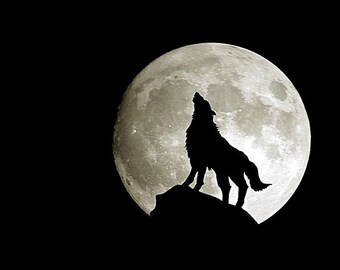 Howling Wolf in Front of the Moon in the Night Cross Stitch