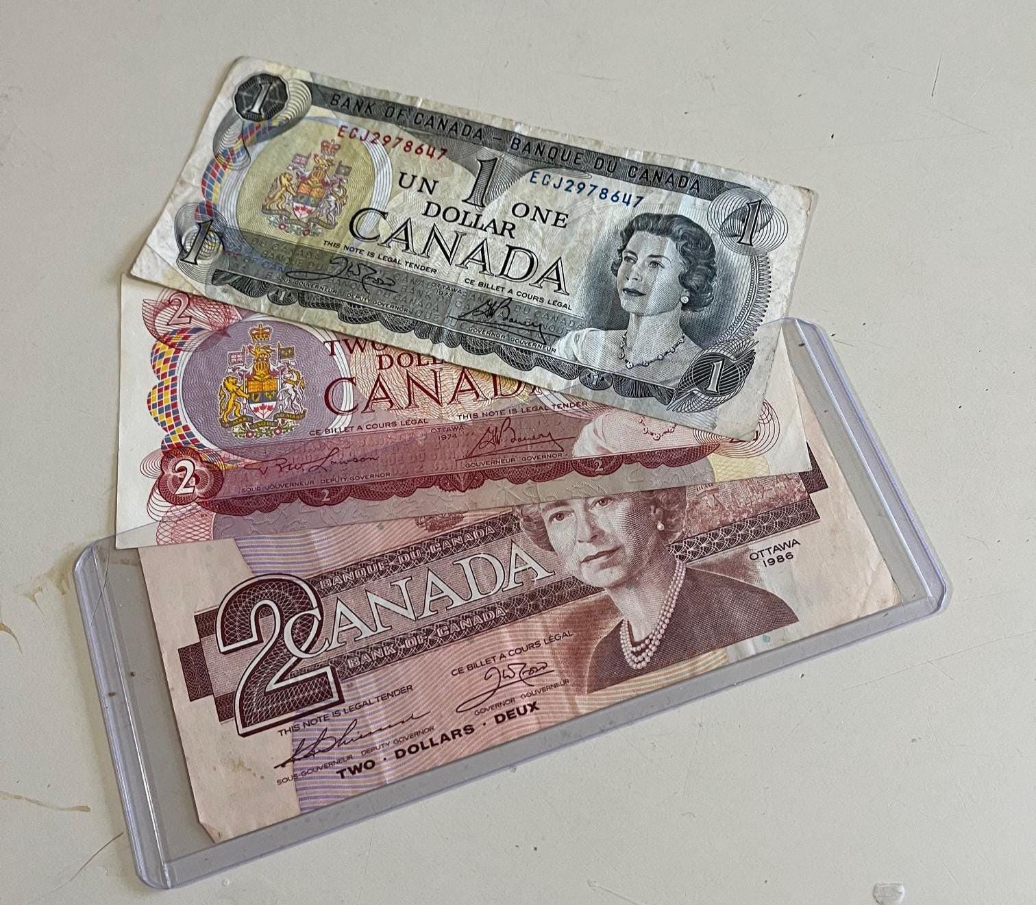 Dogecoin Dollar Bill - Etsy Canada