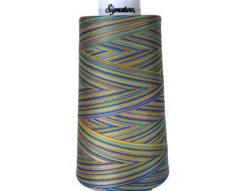 F253 Summery Fun Signature Cotton Variegated Thread