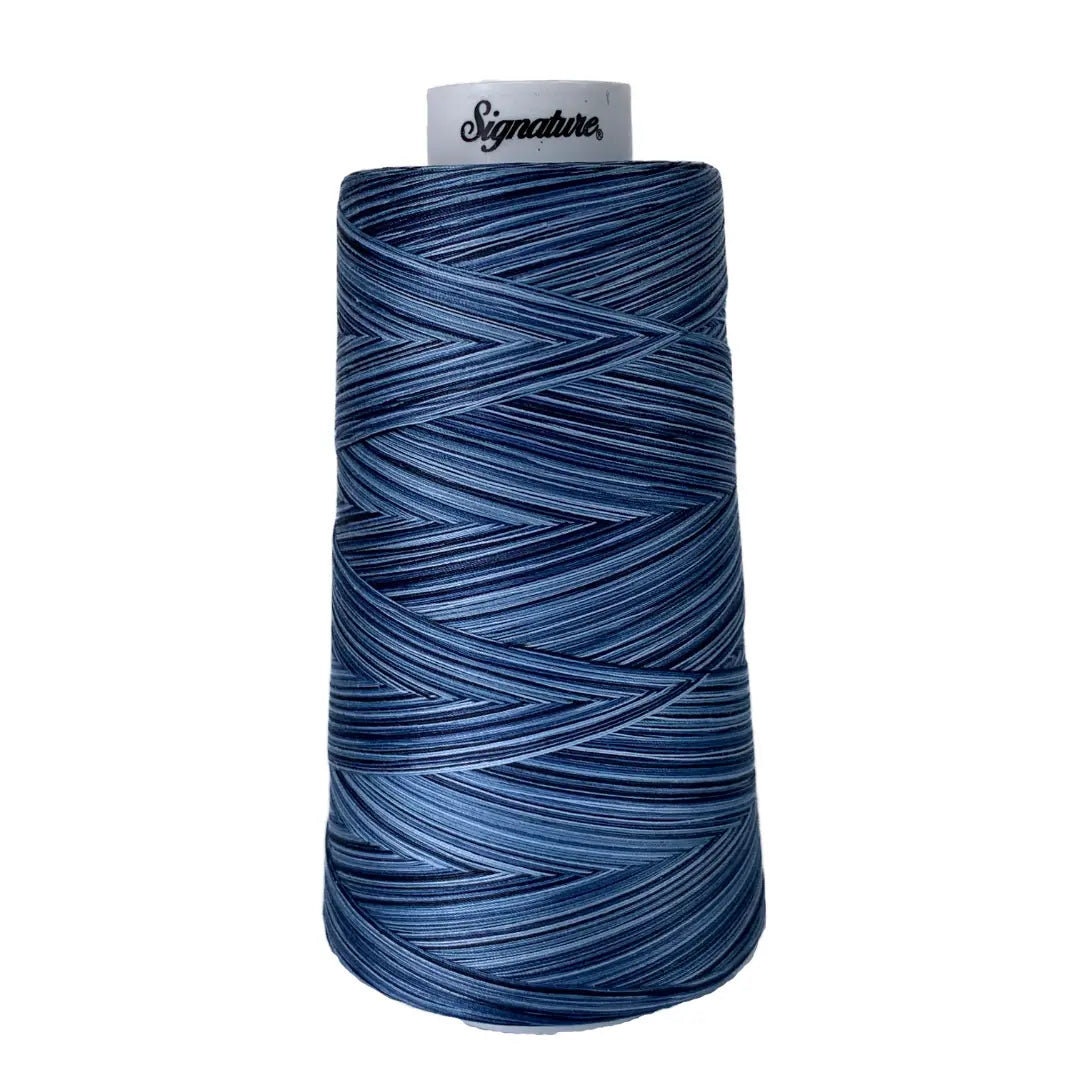Blue Denim Top With Multi Colour Thread Embroidery, Kashmiri