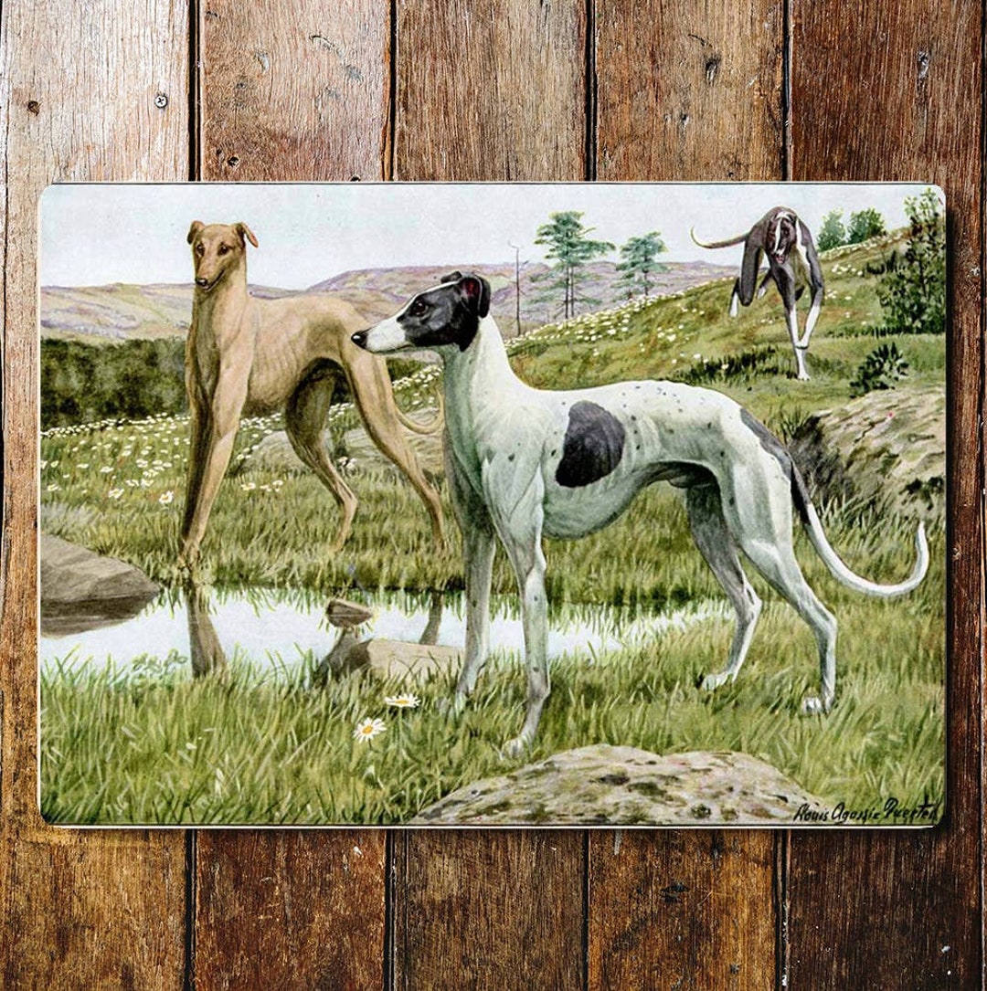 Whippet Dogs Fields Water Countryside Metal Sign Plaque Etsy