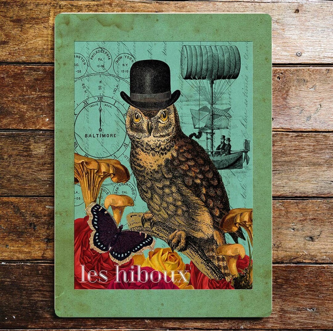 Owl Bowler Hat Metal Sign Plaque - Etsy