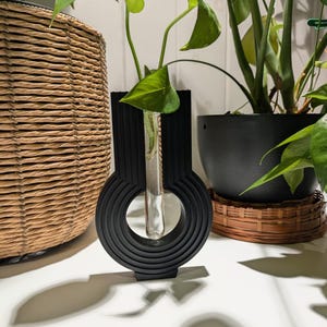 Estación de propagación de plantas de pared, maceta de escritorio para esquejes, jarrón minimalista para enraizar, soporte para tubos de bonsái de agua