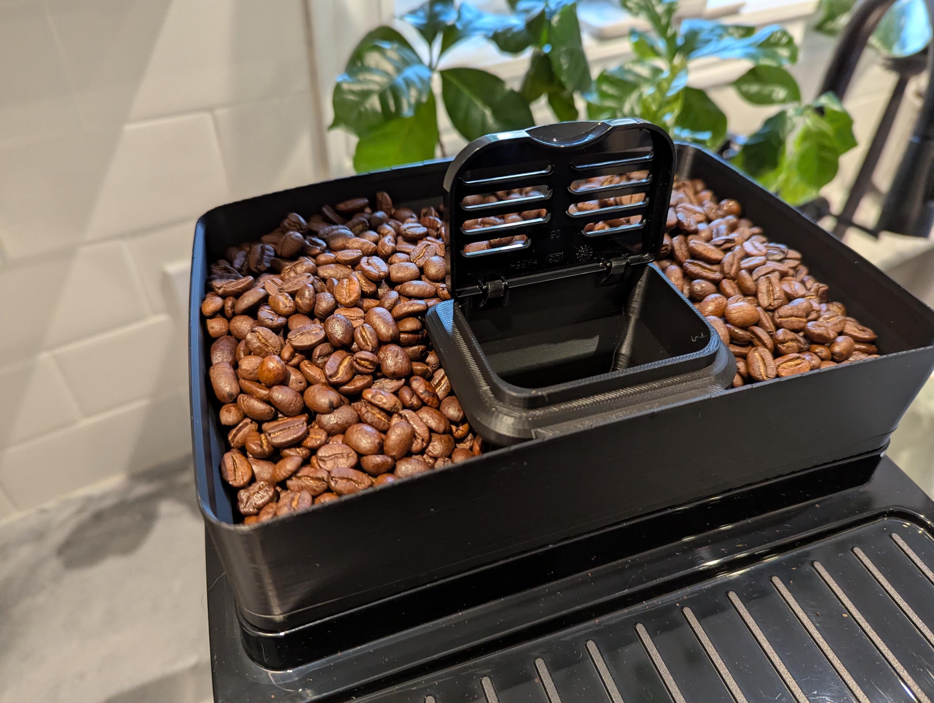 DELONGHI Macinino Completo (Nuova Versione) Caffè Magnifica Perfecta