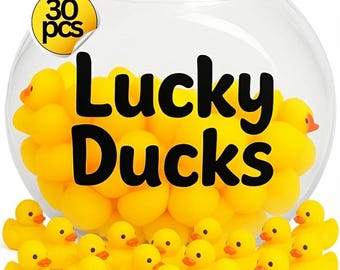 Lucky Ducks with Jar for Classroom Management Tool for Teachers
