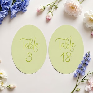 Light Green Quirky Wedding Table Numbers, Oval Table Numbers, Whimsical Wedding Table Number Cards, 5X7 Double Sided Handdrawn Table Numbers