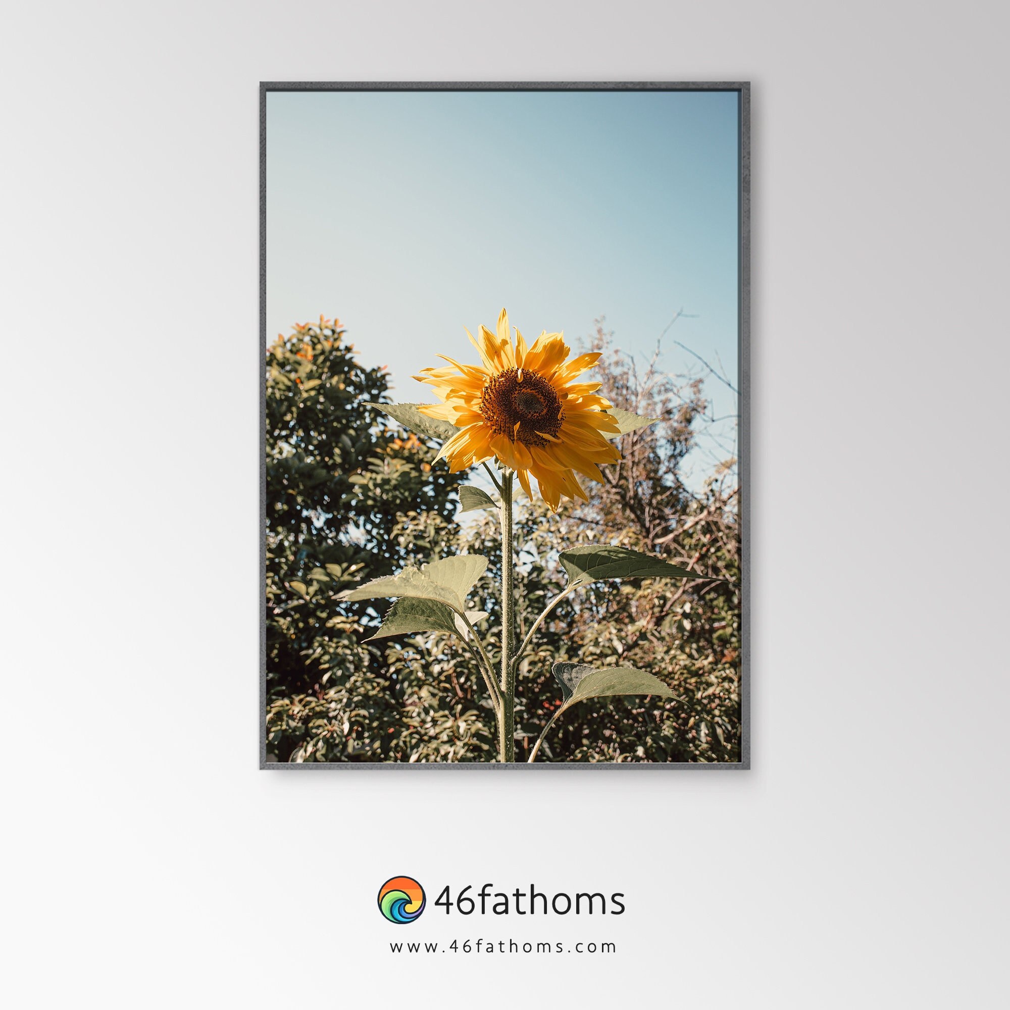 Printable Sunflower Wall Art, Download Floral Wall Decor, Nature ...