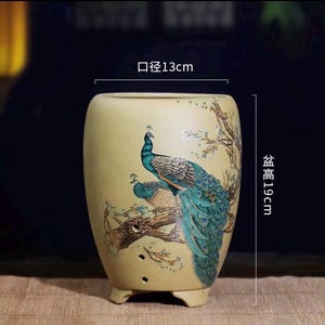 May include: A beige ceramic planter featuring a painted peacock design perched on a tree branch. The planter has a mouth diameter of 13 cm and a total height of 19 cm. The design includes two peacocks with blue and green plumage on a light background.