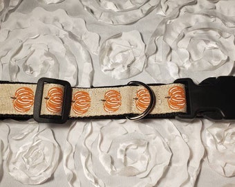 Pumpkin Spice Dog Collar