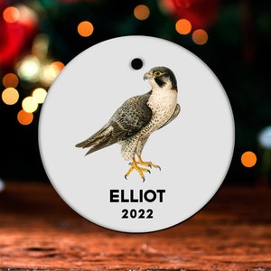 Falcon Christmas Ornament, Personalized Falcon Ornament, Falcon Gift, Falcon Christmas Tree Decor, Falcon Decoration, Falcon Present GO509