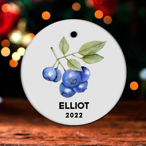 Blueberry Christmas Ornament, Personalized Blueberry Ornament, Blueberry Gift, Blueberry Christmas Tree Decor, Blueberry Decoration GO599