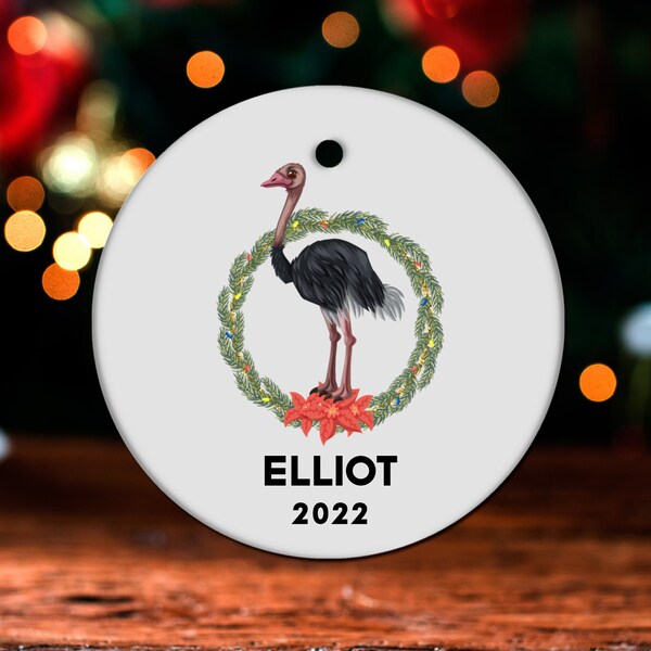 Ostrich Christmas Ornament, Personalized Ostrich Ornament, Ostrich Gift, Ostrich Christmas Tree Decor, Ostrich Decoration, Present GO541