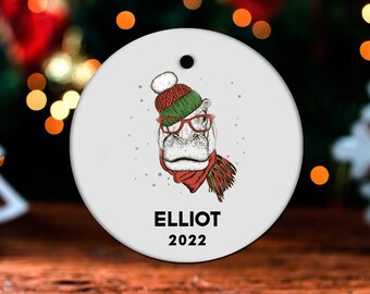 Hippopotamus Christmas Ornament, Personalized Hippopotamus Ornament, Hippopotamus Gift, Hippopotamus Christmas Tree Decor, Decoration GO645