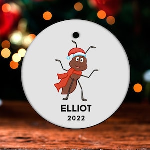 Ant Christmas Ornament, Personalized Ant Ornament, Ant Gift, Ant Christmas Tree Decor, Ant Decoration, Ant Present GO370