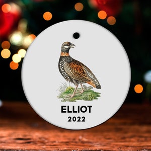Grouse Christmas Ornament, Personalized Grouse Ornament, Grouse Gift, Grouse Christmas Tree Decor, Grouse Decoration, Grouse Present GO218