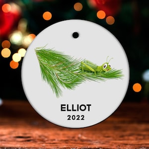 Grasshopper Christmas Ornament, Personalized Grasshopper Ornament, Grasshopper Gift, Grasshopper Christmas Tree Decor, Decoration GO563