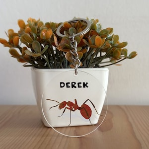 Ant Keychain, Custom Acrylic Ant Keychain, Ant Gift, Personalized gift for Her, Gift for Him, Christmas Gift, Ant lover, Ant Themed Gift