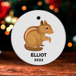 Chipmunk Christmas Ornament, Personalized Chipmunk Ornament, Chipmunk Gift, Chipmunk Christmas Tree Decor, Chipmunk Decoration GO450