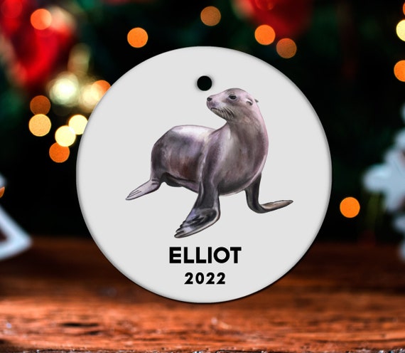 Sea Lion Christmas Ornament, Personalized Sea Lion Ornament, Sea Lion Gift, Sea  Lion Christmas Tree Decor, Sea Lion Decoration GO366 - Etsy
