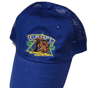 Vintage Camel Cigarettes Mesh Dad Hat