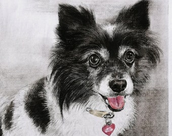Personalisiertes Haustierporträt, benutzerdefiniertes Holzkohleporträt, Hundeskizze vom Foto, Kunstauftrag, Erinnerungsgeschenk, Haustierverlustgeschenk, Hundeliebhabergeschenk
