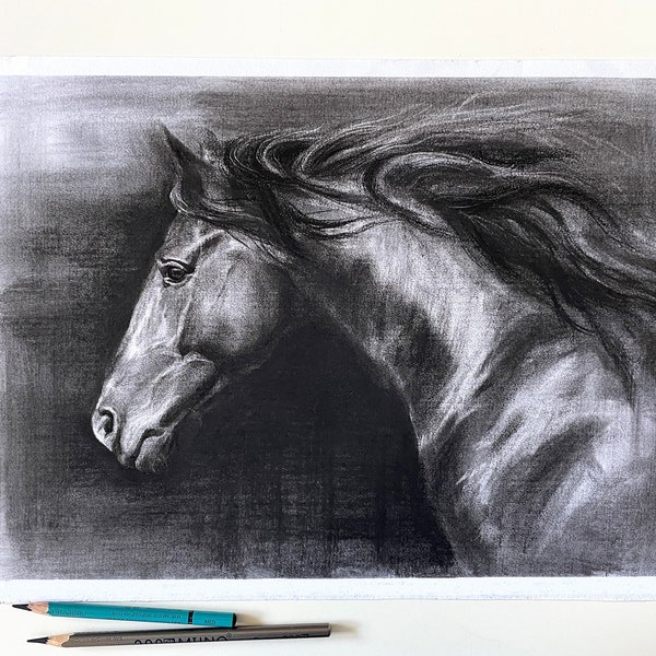 Portrait de cheval personnalisé, dessin à partir d’une photo, commission d’art de croquis, portrait au fusain, cadeau commémoratif personnalisé pour animaux de compagnie pour les amoureux des chevaux