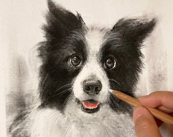 Pet Custom Portrait Charcoal Pencil, Drawing from Photo, Hand Dawn Dog Cat Portrait, Pet Art Commission, Pet Loss Gift Idea, Sketch Your Pet