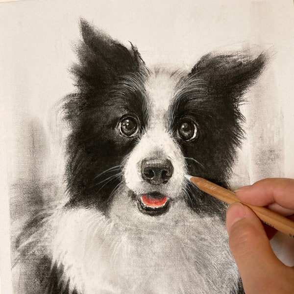 Pet Custom Portrait Kohlestift, Zeichnung vom Foto, Hand Dawn Hund Katzenportrait, Haustier Kunst Kommission, Haustier Verlust Geschenkidee, skizzieren Sie Ihr Haustier