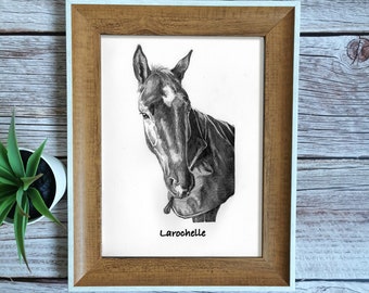 Horse Lover Gift, Hand Drawn Horse Portrait, Custom Pet Drawing from Photo, Personalized Horse Loss Gift, Memorial Gift, Birthday Gift