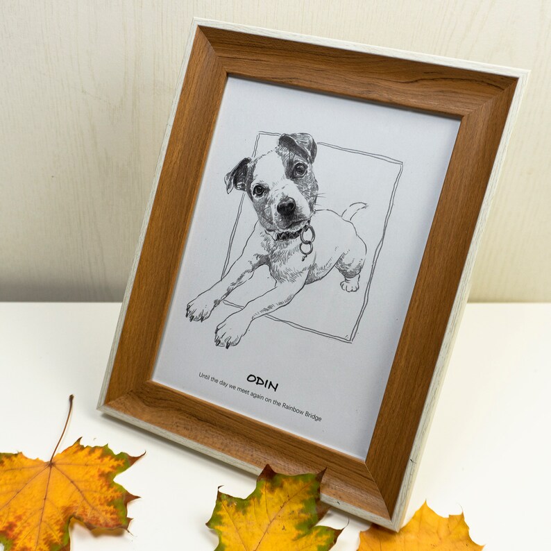 Hand Drawn Dog Portrait, Custom Pet Illustration, Pencil Drawing from Photo, Personalized Unique Gift for Dog Lover image 5