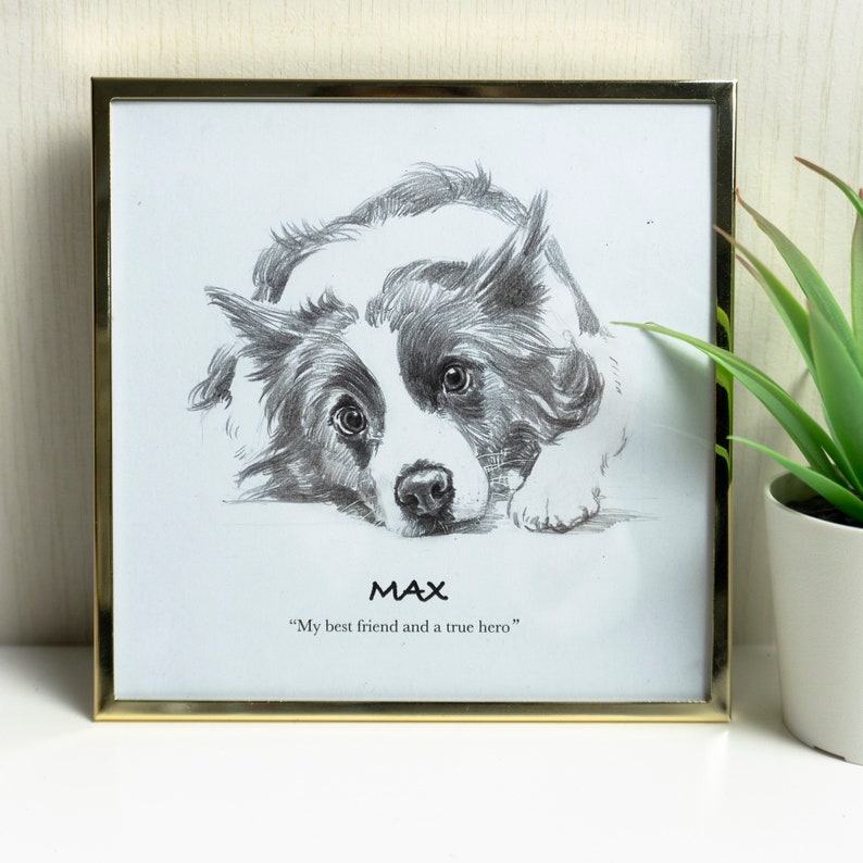 Hand Drawn Dog Portrait, Custom Pet Illustration, Pencil Drawing from Photo, Personalized Unique Gift for Dog Lover image 1