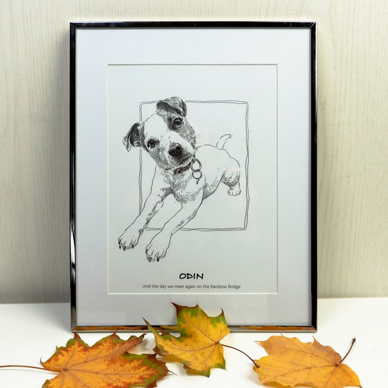 Hand Drawn Dog Portrait, Custom Pet Illustration, Pencil Drawing from Photo, Personalized Unique Gift for Dog Lover image 6
