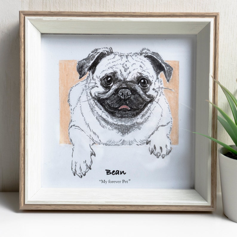 Custom Dog Portrait from Photo, Hand Drawn Pet Illustration, Art Commission, Personalized Memorial Gift for Dog Lover image 3