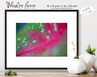 Caladium Leaf Photograph | Matted Fine Art Print, Macro Photography, Ready To Frame