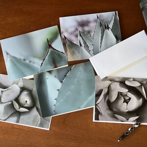 Agave 10 Pack of Blank Note Cards, Recycled Paper, Macro Photography